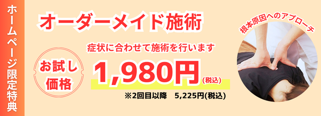 初回特典お試し価格1,980円(税込)